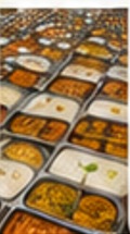 Prepared meal trays